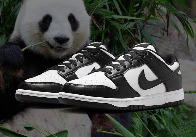 Nike Dunk’s